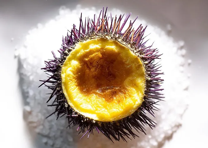 Mas De & Spa, Relais & Chateaux 5* Torrent (Girona)